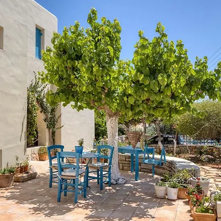 Eleni Villas Apartment *